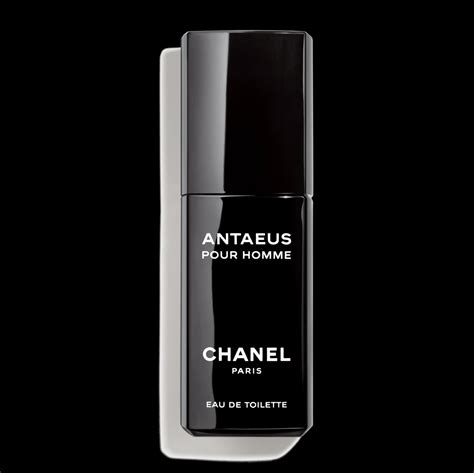 chanel antaeus 100 ml eau de toilette|chanel antaeus best price.